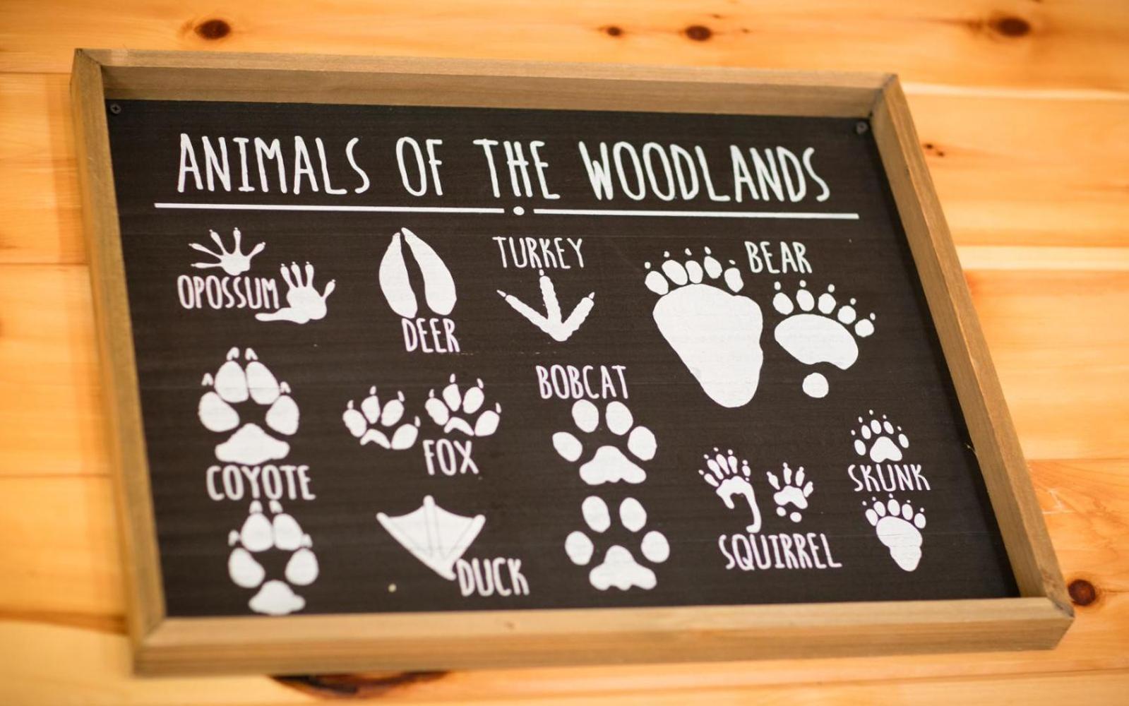Villa Lifes A Bear à Gatlinburg Extérieur photo