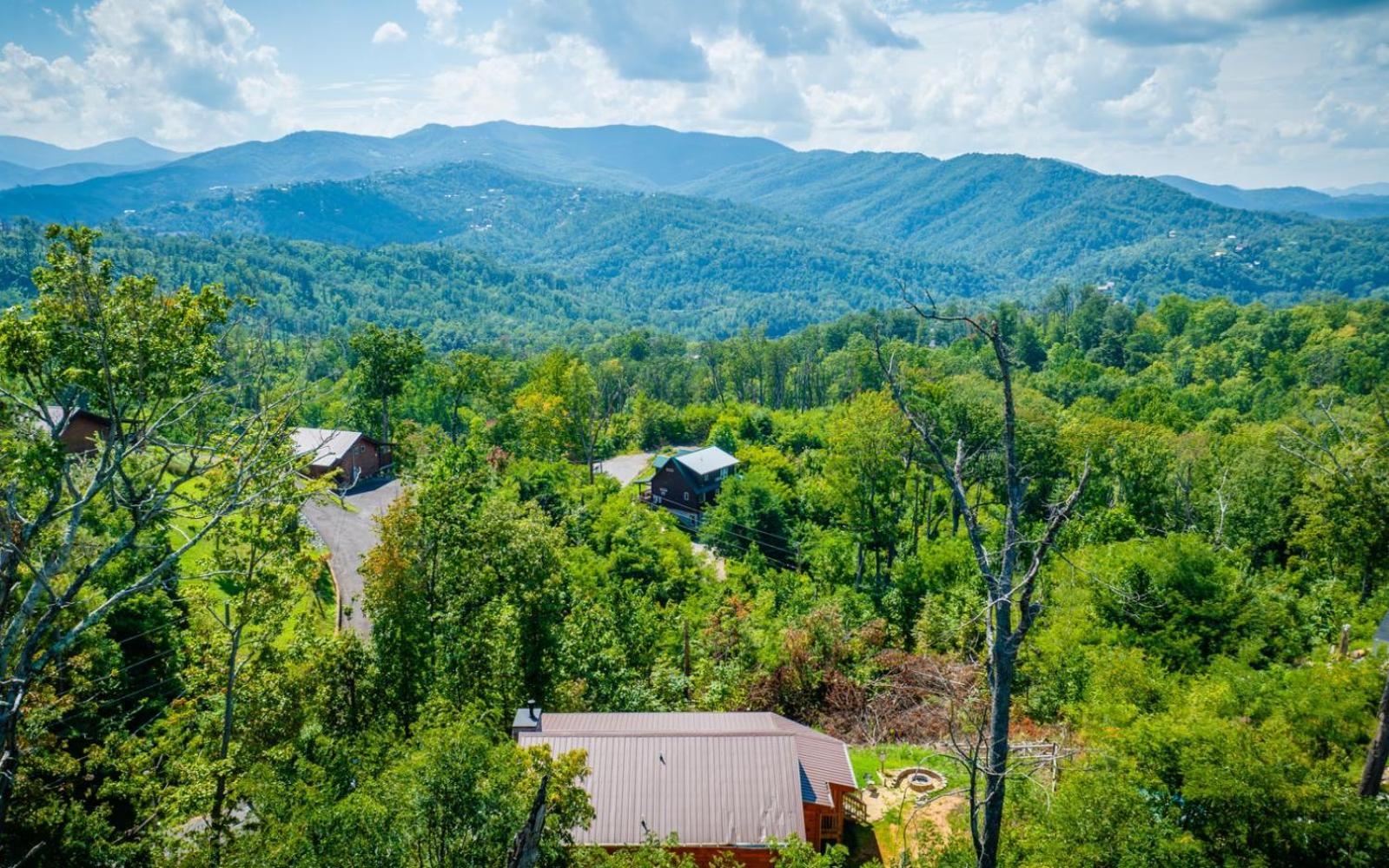 Villa Lifes A Bear à Gatlinburg Extérieur photo