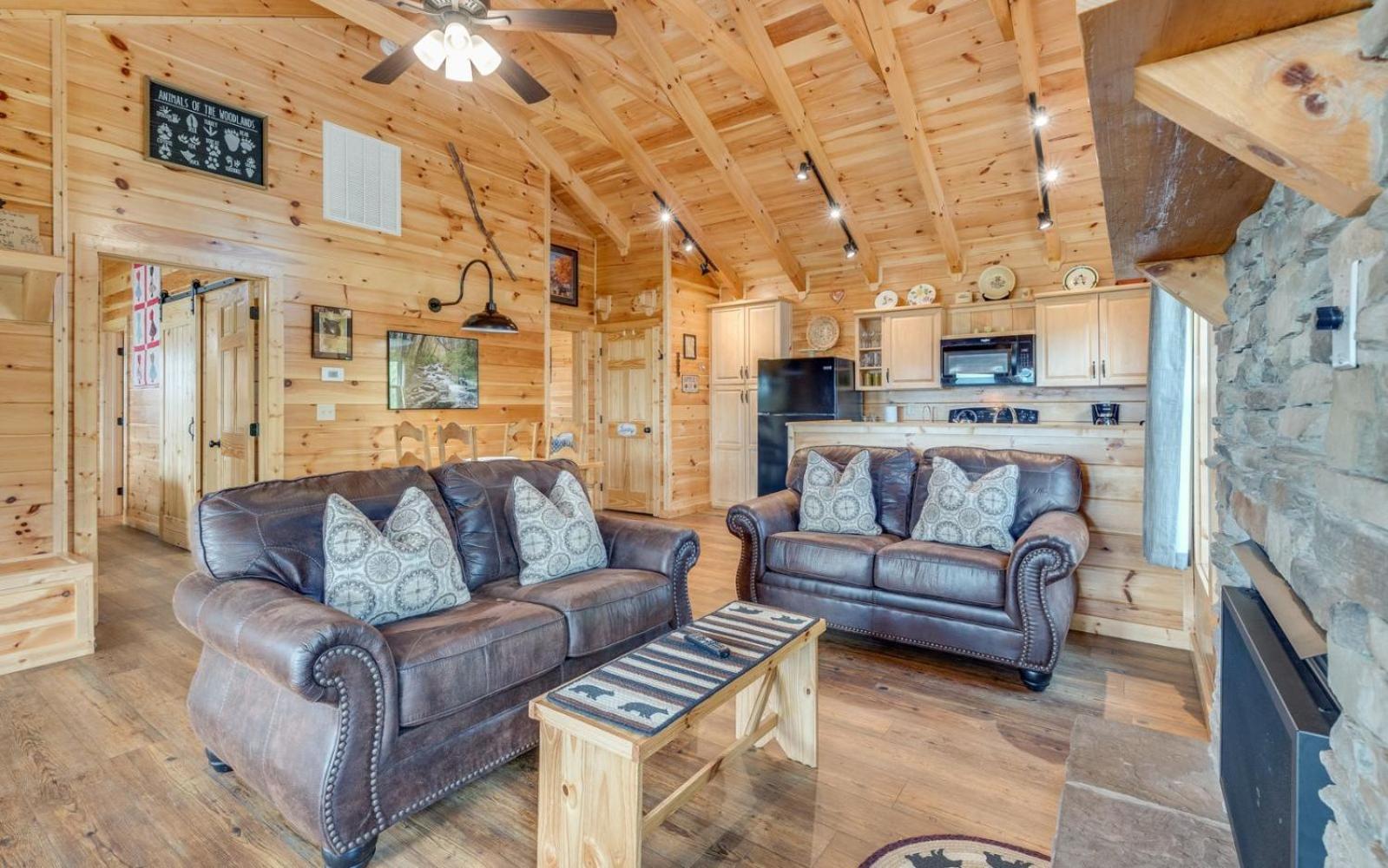 Villa Lifes A Bear à Gatlinburg Extérieur photo